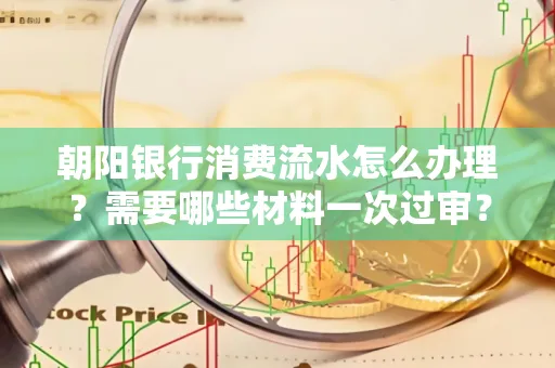 朝阳银行消费流水怎么办理?需要哪些材料一次过审?