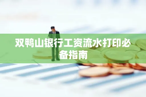 双鸭山银行工资流水打印必备指南