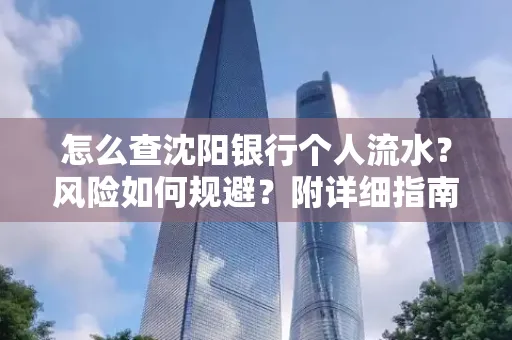 怎么查沈阳银行个人流水？风险如何规避？附详细指南