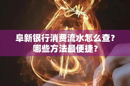 阜新银行消费流水怎么查?哪些方法最便捷?