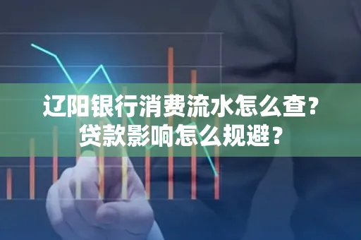 辽阳银行消费流水怎么查?贷款影响怎么规避?