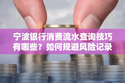 宁波银行消费流水查询技巧有哪些?如何规避风险记录?