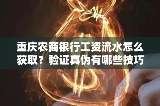 重庆农商银行工资流水怎么获取?验证真伪有哪些技巧?